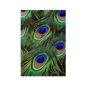 Обложка для паспорта матовая кожа с принтом Перья павлина #1 в Екатеринбурге, натуральная матовая кожа | размер 19,3 х 13,7 см; прозрачные пластиковые крепления | Тематика изображения на принте: animal | bird | peacock feathers | животные | павлин | перо. | перья | птица