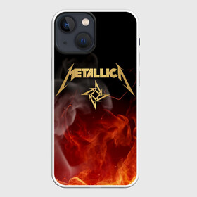 Чехол для iPhone 13 mini с принтом METALLICA в Екатеринбурге,  |  | metallica | rock | джеймс хэтфилд | джейсон ньюстед | дэйв мастейн | кирк хэмметт | клифф бёртон | ларс ульрих | металлика | музыка | роберт трухильо | рок