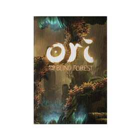 Обложка для паспорта матовая кожа с принтом Ori and the Blind Forest в Екатеринбурге, натуральная матовая кожа | размер 19,3 х 13,7 см; прозрачные пластиковые крепления | blind forest | ori | sein | белка | гумо | кошка | куро | лиса | нару | непроглядный лес | ори | платформер | птенец | сейн | сова