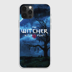 Чехол для iPhone 12 Pro с принтом THE WITCHER 3:WILD HUNT в Екатеринбурге, силикон | область печати: задняя сторона чехла, без боковых панелей | cd projekt red | ciri | game | geralt | geralt of rivia | gwynbleidd | the witcher | the witcher 3: wild hunt | ведьмак | ведьмак 3: дикая охота | геральт | геральт из ривии | цири | цирилла