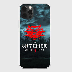 Чехол для iPhone 12 Pro с принтом THE WITCHER 3:WILD HUNT в Екатеринбурге, силикон | область печати: задняя сторона чехла, без боковых панелей | cd projekt red | ciri | game | geralt | geralt of rivia | gwynbleidd | the witcher | the witcher 3: wild hunt | ведьмак | ведьмак 3: дикая охота | геральт | геральт из ривии | цири | цирилла