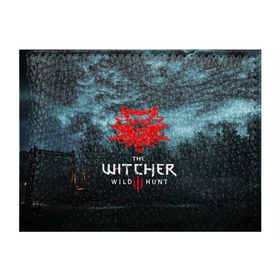 Обложка для студенческого билета с принтом THE WITCHER 3:WILD HUNT в Екатеринбурге, натуральная кожа | Размер: 11*8 см; Печать на всей внешней стороне | cd projekt red | ciri | game | geralt | geralt of rivia | gwynbleidd | the witcher | the witcher 3: wild hunt | ведьмак | ведьмак 3: дикая охота | геральт | геральт из ривии | цири | цирилла