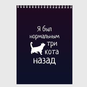 Скетчбук с принтом Я был в норме три кота назад в Екатеринбурге, 100% бумага
 | 48 листов, плотность листов — 100 г/м2, плотность картонной обложки — 250 г/м2. Листы скреплены сверху удобной пружинной спиралью | Тематика изображения на принте: cats | normal | жизненно | жизнь | котики | коты | котэ | кошатник | кошатница | кошка | кошки | нормальный