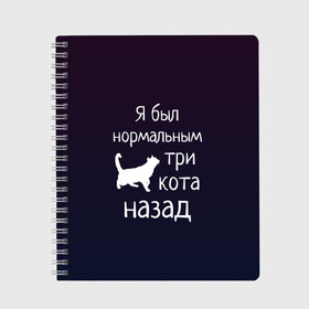 Тетрадь с принтом Я был в норме три кота назад в Екатеринбурге, 100% бумага | 48 листов, плотность листов — 60 г/м2, плотность картонной обложки — 250 г/м2. Листы скреплены сбоку удобной пружинной спиралью. Уголки страниц и обложки скругленные. Цвет линий — светло-серый
 | cats | normal | жизненно | жизнь | котики | коты | котэ | кошатник | кошатница | кошка | кошки | нормальный