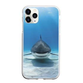 Чехол для iPhone 11 Pro Max матовый с принтом Анфас в Екатеринбурге, Силикон |  | bottom | fin | full face | jaw | ocean | sand | shark | water | акула | анфас | вода | дно | океан | песок | плавник