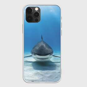 Чехол для iPhone 12 Pro Max с принтом Анфас в Екатеринбурге, Силикон |  | bottom | fin | full face | jaw | ocean | sand | shark | water | акула | анфас | вода | дно | океан | песок | плавник