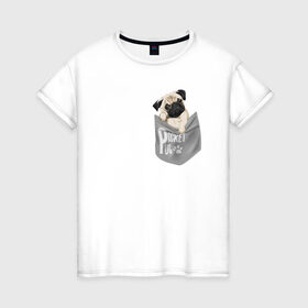 Женская футболка хлопок с принтом Мопс в кармане в Екатеринбурге, 100% хлопок | прямой крой, круглый вырез горловины, длина до линии бедер, слегка спущенное плечо | Тематика изображения на принте: pug | карман | карманный мопс | малыш | милый | мопс | пес | песик | собака | собачка