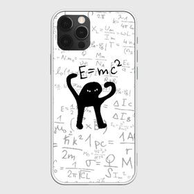 Чехол для iPhone 12 Pro Max с принтом ЪУЪ СЪУКА E=mc2 в Екатеринбурге, Силикон |  | cat | emc 2 | emc2 | mem | memes | truxkot19 | знаменитые формулы | интернет приколы | кот | мем | мем кот | физика | формулы | ъуъ | ъуъ съука | эйнштейн