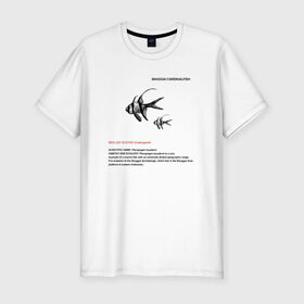 Мужская футболка премиум с принтом Banggai Cardinalfish в Екатеринбурге, 92% хлопок, 8% лайкра | приталенный силуэт, круглый вырез ворота, длина до линии бедра, короткий рукав | animals | red book | red list | животные | животные из красной книги | красная книга | редкие животные