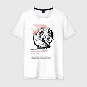 Мужская футболка хлопок с принтом Amur tiger в Екатеринбурге, 100% хлопок | прямой крой, круглый вырез горловины, длина до линии бедер, слегка спущенное плечо. | animals | red book | red list | животные | животные из красной книги | красная книга | редкие животные