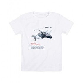 Детская футболка хлопок с принтом Hampback whale в Екатеринбурге, 100% хлопок | круглый вырез горловины, полуприлегающий силуэт, длина до линии бедер | animals | red book | red list | животные | животные из красной книги | красная книга | редкие животные