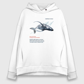 Женское худи Oversize хлопок с принтом Hampback whale в Екатеринбурге, френч-терри — 70% хлопок, 30% полиэстер. Мягкий теплый начес внутри —100% хлопок | боковые карманы, эластичные манжеты и нижняя кромка, капюшон на магнитной кнопке | Тематика изображения на принте: animals | red book | red list | животные | животные из красной книги | красная книга | редкие животные