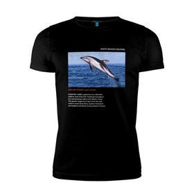 Мужская футболка премиум с принтом White-beaked Dolphin в Екатеринбурге, 92% хлопок, 8% лайкра | приталенный силуэт, круглый вырез ворота, длина до линии бедра, короткий рукав | animals | red book | red list | животные | животные из красной книги | красная книга | редкие животные