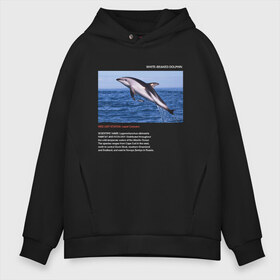 Мужское худи Oversize хлопок с принтом White-beaked Dolphin в Екатеринбурге, френч-терри — 70% хлопок, 30% полиэстер. Мягкий теплый начес внутри —100% хлопок | боковые карманы, эластичные манжеты и нижняя кромка, капюшон на магнитной кнопке | Тематика изображения на принте: animals | red book | red list | животные | животные из красной книги | красная книга | редкие животные