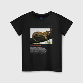Детская футболка хлопок с принтом Leopard в Екатеринбурге, 100% хлопок | круглый вырез горловины, полуприлегающий силуэт, длина до линии бедер | animals | red book | red list | животные | животные из красной книги | красная книга | редкие животные