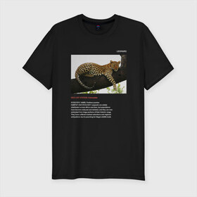 Мужская футболка премиум с принтом Leopard в Екатеринбурге, 92% хлопок, 8% лайкра | приталенный силуэт, круглый вырез ворота, длина до линии бедра, короткий рукав | animals | red book | red list | животные | животные из красной книги | красная книга | редкие животные