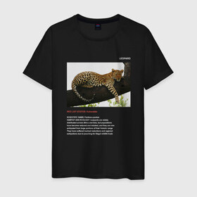 Мужская футболка хлопок с принтом Leopard в Екатеринбурге, 100% хлопок | прямой крой, круглый вырез горловины, длина до линии бедер, слегка спущенное плечо. | animals | red book | red list | животные | животные из красной книги | красная книга | редкие животные