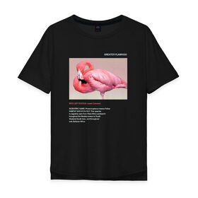 Мужская футболка хлопок Oversize с принтом Greater Flamingo в Екатеринбурге, 100% хлопок | свободный крой, круглый ворот, “спинка” длиннее передней части | animals | red book | red list | животные | животные из красной книги | красная книга | редкие животные | фламинго