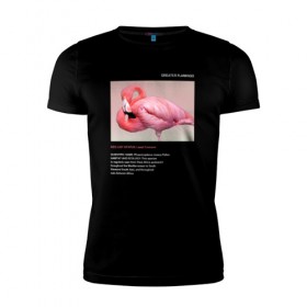 Мужская футболка премиум с принтом Greater Flamingo в Екатеринбурге, 92% хлопок, 8% лайкра | приталенный силуэт, круглый вырез ворота, длина до линии бедра, короткий рукав | animals | red book | red list | животные | животные из красной книги | красная книга | редкие животные | фламинго