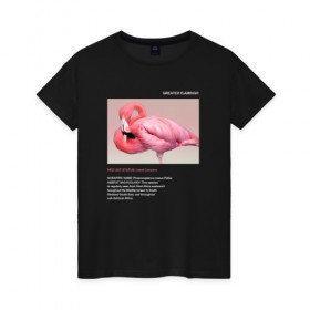Женская футболка хлопок с принтом Greater Flamingo в Екатеринбурге, 100% хлопок | прямой крой, круглый вырез горловины, длина до линии бедер, слегка спущенное плечо | animals | red book | red list | животные | животные из красной книги | красная книга | редкие животные | фламинго