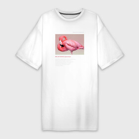 Платье-футболка хлопок с принтом Greater Flamingo в Екатеринбурге,  |  | animals | red book | red list | животные | животные из красной книги | красная книга | редкие животные | фламинго