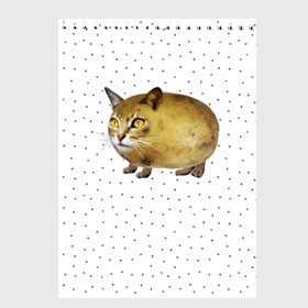 Скетчбук с принтом ЧИЛИПИ*ДРИК в Екатеринбурге, 100% бумага
 | 48 листов, плотность листов — 100 г/м2, плотность картонной обложки — 250 г/м2. Листы скреплены сверху удобной пружинной спиралью | internet | meme | memes | pikabu | интернет | картофель | картошка | киса | киска | кот | котенок | котик | коты | котята | кошки | мем | мемас | мемасы | мемы | пикабу | прикол | приколы | чикибряк | шутка | юмор