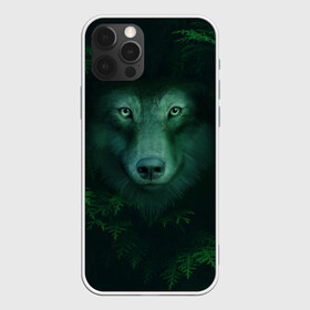 Чехол для iPhone 12 Pro Max с принтом Сибирь Лесной волк в Екатеринбурге, Силикон |  | safesibiria | siberia | алтай | волк | дикий | елки | ель | лес | охота | сибирь | сибирь горит | сибирьгорит | спаситесибирь | тайга | шерегеш | экология