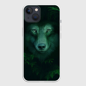 Чехол для iPhone 13 с принтом Сибирь. Лесной волк в Екатеринбурге,  |  | Тематика изображения на принте: safesibiria | siberia | алтай | волк | дикий | елки | ель | лес | охота | сибирь | сибирь горит | сибирьгорит | спаситесибирь | тайга | шерегеш | экология
