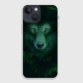 Чехол для iPhone 13 mini с принтом Сибирь. Лесной волк в Екатеринбурге,  |  | Тематика изображения на принте: safesibiria | siberia | алтай | волк | дикий | елки | ель | лес | охота | сибирь | сибирь горит | сибирьгорит | спаситесибирь | тайга | шерегеш | экология