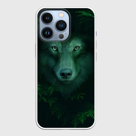 Чехол для iPhone 13 Pro с принтом Сибирь. Лесной волк в Екатеринбурге,  |  | Тематика изображения на принте: safesibiria | siberia | алтай | волк | дикий | елки | ель | лес | охота | сибирь | сибирь горит | сибирьгорит | спаситесибирь | тайга | шерегеш | экология