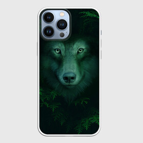 Чехол для iPhone 13 Pro Max с принтом Сибирь. Лесной волк в Екатеринбурге,  |  | Тематика изображения на принте: safesibiria | siberia | алтай | волк | дикий | елки | ель | лес | охота | сибирь | сибирь горит | сибирьгорит | спаситесибирь | тайга | шерегеш | экология