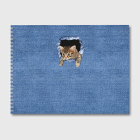 Альбом для рисования с принтом Котёнок в рюкзаке в Екатеринбурге, 100% бумага
 | матовая бумага, плотность 200 мг. | Тематика изображения на принте: cat | jeans | kitten | джинса | джинсовка | дыра | дырка | кот | котёнок | кошка