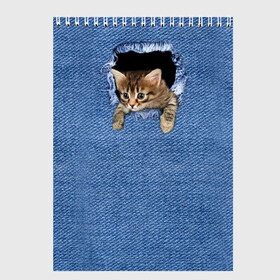 Скетчбук с принтом Котёнок в рюкзаке в Екатеринбурге, 100% бумага
 | 48 листов, плотность листов — 100 г/м2, плотность картонной обложки — 250 г/м2. Листы скреплены сверху удобной пружинной спиралью | Тематика изображения на принте: cat | jeans | kitten | джинса | джинсовка | дыра | дырка | кот | котёнок | кошка