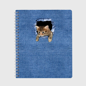 Тетрадь с принтом Котёнок в рюкзаке в Екатеринбурге, 100% бумага | 48 листов, плотность листов — 60 г/м2, плотность картонной обложки — 250 г/м2. Листы скреплены сбоку удобной пружинной спиралью. Уголки страниц и обложки скругленные. Цвет линий — светло-серый
 | Тематика изображения на принте: cat | jeans | kitten | джинса | джинсовка | дыра | дырка | кот | котёнок | кошка
