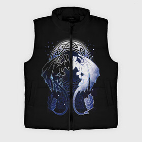 Мужской жилет утепленный 3D с принтом Как приручить дракона в Екатеринбурге,  |  | Тематика изображения на принте: dragon | how | to train | your | астрид | беззубик | викинги | всадник | гриммель | дневная | дракон | иккинг | как | ночная | олух | приручить | фурия | фэнтези