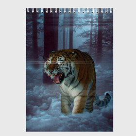 Скетчбук с принтом ТИГР В СУМЕРЕЧНОМ ЛЕСУ в Екатеринбурге, 100% бумага
 | 48 листов, плотность листов — 100 г/м2, плотность картонной обложки — 250 г/м2. Листы скреплены сверху удобной пружинной спиралью | Тематика изображения на принте: tiger | в лесу | дикая | кошка | лес | природа | тигр | тигренок | тигрица | тигры