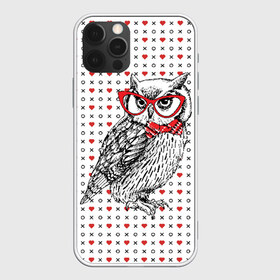 Чехол для iPhone 12 Pro Max с принтом Мудрая сова в очках в Екатеринбурге, Силикон |  | бабочки | мудрая | мудрость | наука | начитанная | очки | птица | сова | совенок | совушка | умная