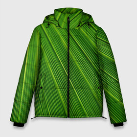 Мужская зимняя куртка 3D с принтом Зелёный лист в Екатеринбурге, верх — 100% полиэстер; подкладка — 100% полиэстер; утеплитель — 100% полиэстер | длина ниже бедра, свободный силуэт Оверсайз. Есть воротник-стойка, отстегивающийся капюшон и ветрозащитная планка. 

Боковые карманы с листочкой на кнопках и внутренний карман на молнии. | abstract | абстрактно | абстрактный | абстракция | зеленый | зелень | лист | листок | листья | полоса | полоска | полосы | природа | флора
