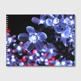 Альбом для рисования с принтом Светящиеся цветы в Екатеринбурге, 100% бумага
 | матовая бумага, плотность 200 мг. | lights | огни | светящиеся | светящийся | светящимся | светящихся | стекло | стеклянные | хрусталь | хрустальные | цвет | цветки | цветок | цветочки | цветы