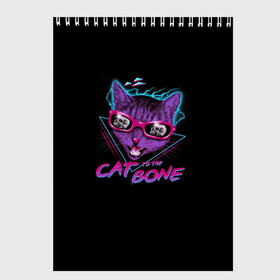 Скетчбук с принтом Cat To The Bone в Екатеринбурге, 100% бумага
 | 48 листов, плотность листов — 100 г/м2, плотность картонной обложки — 250 г/м2. Листы скреплены сверху удобной пружинной спиралью | 80 | bone | bones | cat | cyber | game | hotline | hotlinemiami | maiami | music | outrun | retro | retrowave | skull | synth | synthwave | игра | кибер | кот | кошка | ретро | череп