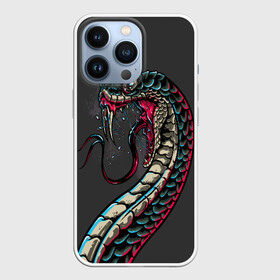 Чехол для iPhone 13 Pro с принтом Viper в Екатеринбурге,  |  | Тематика изображения на принте: animals | art | poison | snake | venom | venomous | viper | арт | гадюка | животное | животные | змеи | змей | змея | картинка | картинки | прикольная | прикольные | яд | ядовитая | ядовитый