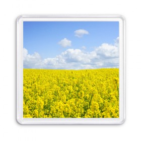 Магнит 55*55 с принтом Рапсовое поле в Екатеринбурге, Пластик | Размер: 65*65 мм; Размер печати: 55*55 мм | небо | облака | облако | поле | поля | посев | посевы | природа | природный | рапс | рапсовое | рапсовый | рапсом | туча | тучи | урожаи | урожай | цветами | цветок | цветы