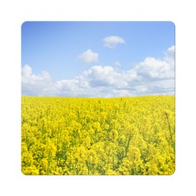 Магнит виниловый Квадрат с принтом Рапсовое поле в Екатеринбурге, полимерный материал с магнитным слоем | размер 9*9 см, закругленные углы | небо | облака | облако | поле | поля | посев | посевы | природа | природный | рапс | рапсовое | рапсовый | рапсом | туча | тучи | урожаи | урожай | цветами | цветок | цветы