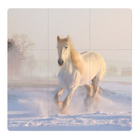Магнитный плакат 3Х3 с принтом Белая лошадь на снегу в Екатеринбурге, Полимерный материал с магнитным слоем | 9 деталей размером 9*9 см | белая | белый | декабрь | животное | животные | звери | зверь | зима | зимний | зимой | кони | конь | копытные | копытный | лошади | лошадь | снег | снега | снегу | снежный | февраль | январь