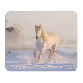 Коврик для мышки прямоугольный с принтом Белая лошадь на снегу в Екатеринбурге, натуральный каучук | размер 230 х 185 мм; запечатка лицевой стороны | белая | белый | декабрь | животное | животные | звери | зверь | зима | зимний | зимой | кони | конь | копытные | копытный | лошади | лошадь | снег | снега | снегу | снежный | февраль | январь