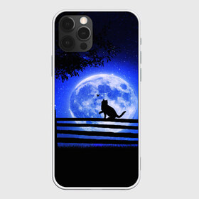 Чехол для iPhone 12 Pro Max с принтом КОТИК в Екатеринбурге, Силикон |  | star | stars | texture | вечер | вечерние иллюстрации | звезда | звезды | ночной пейзаж | ночные | ночь | природа | прогулки | текстуры
