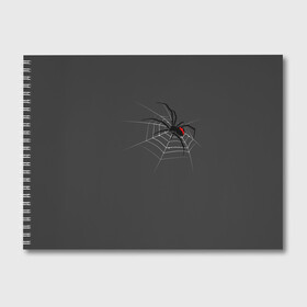 Альбом для рисования с принтом Паук в Екатеринбурге, 100% бумага
 | матовая бумага, плотность 200 мг. | animal | animals | poison | spider | venom | вдова | животные | каракурт | паук | паутина | паучок | черная | черная вдова | яд