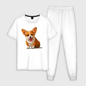 Мужская пижама хлопок с принтом Корги в Екатеринбурге, 100% хлопок | брюки и футболка прямого кроя, без карманов, на брюках мягкая резинка на поясе и по низу штанин
 | вельш корги | домашние животные | корги | пес | собака | собачнику | щенок