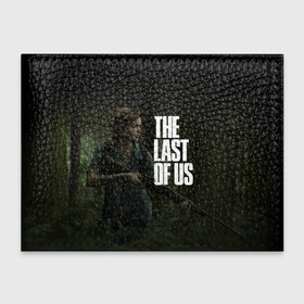 Обложка для студенческого билета с принтом THE LAST OF US в Екатеринбурге, натуральная кожа | Размер: 11*8 см; Печать на всей внешней стороне | Тематика изображения на принте: cicadas | fireflies | naughty dog | the last of us | the last of us part 2 | джоэл | последние из нас | цикады | элли