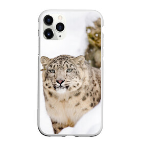 Чехол для iPhone 11 Pro матовый с принтом Ирбис в Екатеринбурге, Силикон |  | snow leopard | барс | барсы | животное | животные | звери | зверь | зима | зимы | ирбис | киски | кот | коты | кошачьи | кошка | кошки | мохнатые | мохнатый | пятнистые | пятнистый | снег | снежный